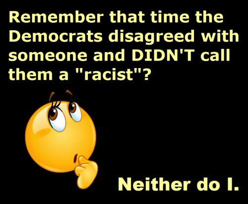 dems didn't call racist