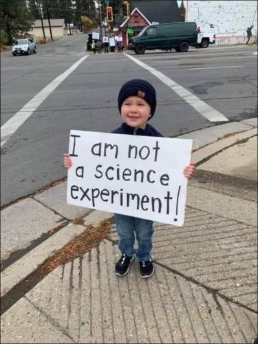vaccine438