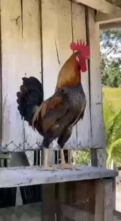 10:57:05 GMT-0500 (CDT)