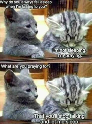 259862485_2681722038789426_5924860884708367552_n