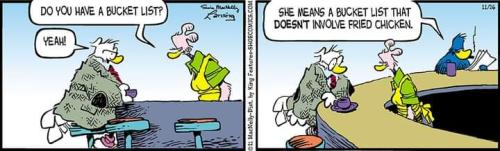 FB_IMG_1637910906019