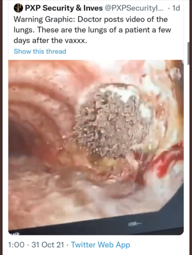 Screenshot_20211104-212124