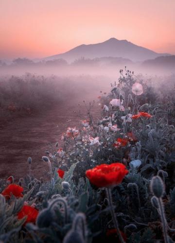 tumblr_pt3pahQeTl1vvczb6o1_540