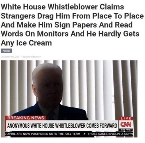 image_1637764587.977