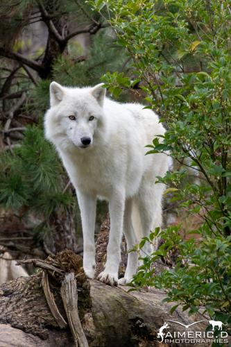 261103917_4494189073963907_4486577149065355622_n