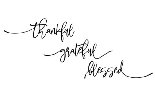 Screenshot_20211125-060702_DuckDuckGo