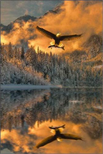 10:46:07 GMT-0600 (CST)