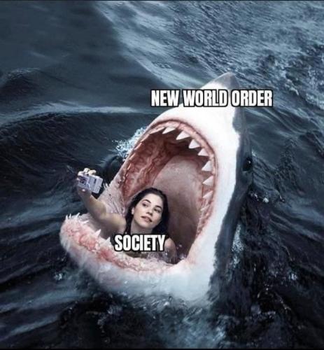 photo_2021-11-04_22-55-38