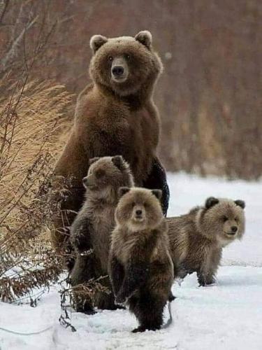 260300507_1062405527887062_5186936661794029726_n