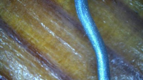 Max Morphing Rod Pods (3)