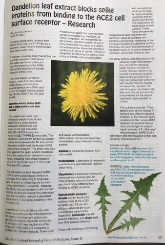 10:35:51 GMT-0500 (EST)