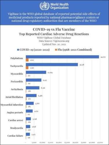 coronavirus1318