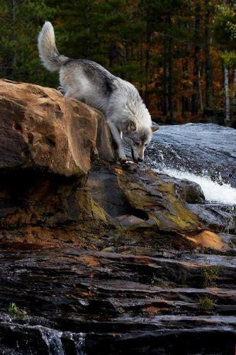 4c5586d84c47fe5562495ea4d4f65026