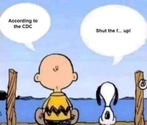 FB_IMG_1636522844982