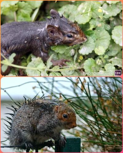 10:44:56 GMT-0500 (EST)