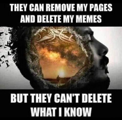 they can remove my pages and delete my memes