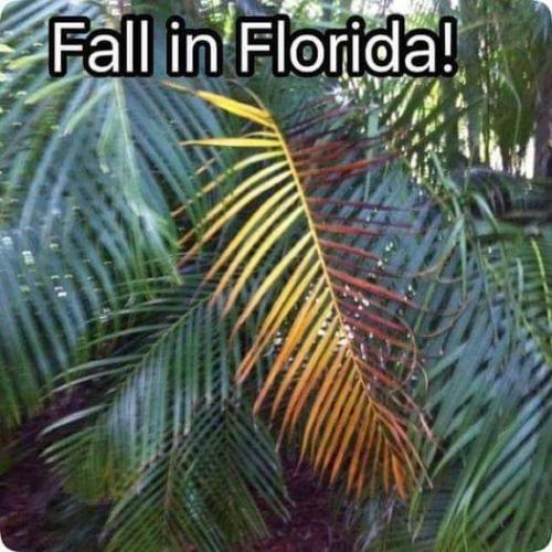 FB_IMG_1636719668490