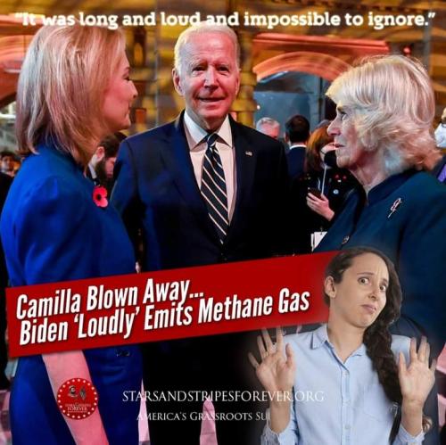 FB_IMG_1636397216189