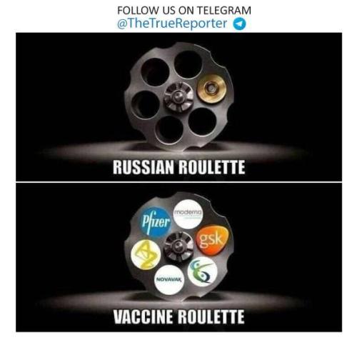 image_1637861178.709