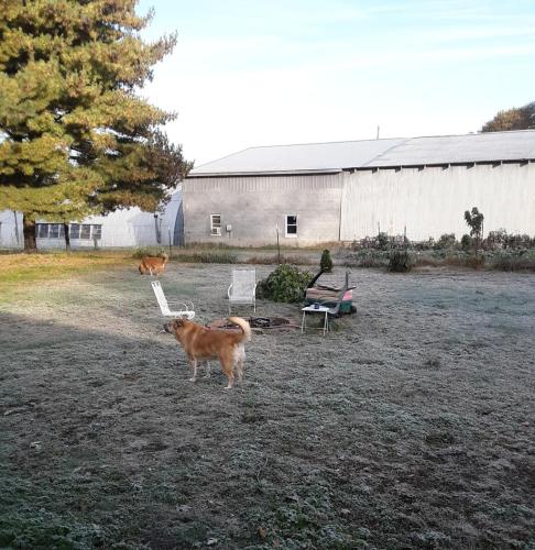 11:25:45 GMT-0500 (CDT)