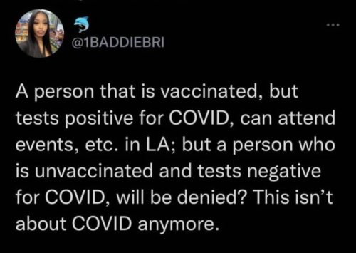 image_1635884489.504