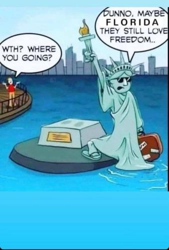 THEY STILL LOVE FREEDOM