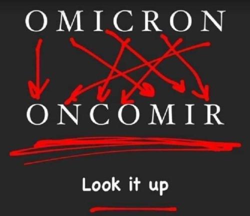 FB_IMG_1638243984949