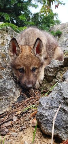 251345526_437764941076716_7978114091766365593_n