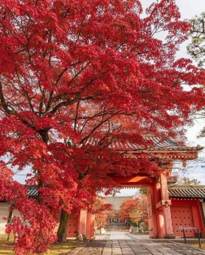 258748746_1283109462206062_2353636831084899117_n