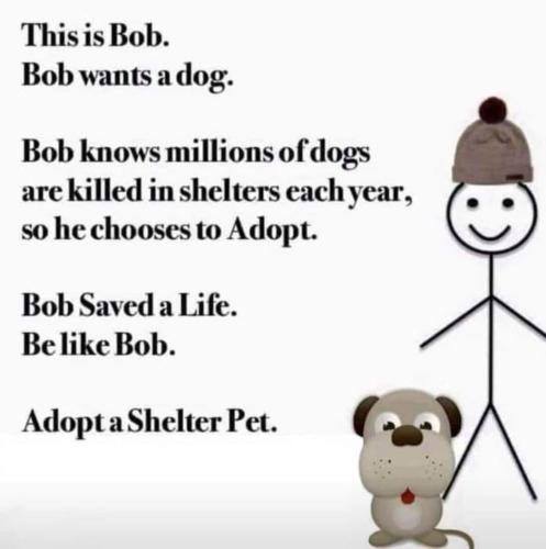 FB_IMG_1636719572035