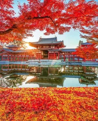 260044189_919855065599612_7665602213691172830_n