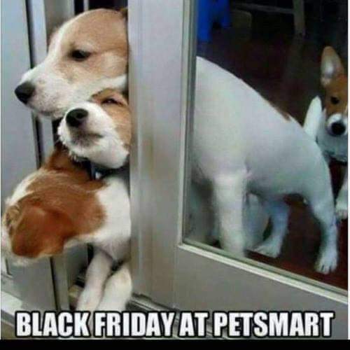 FB_IMG_1637932590194