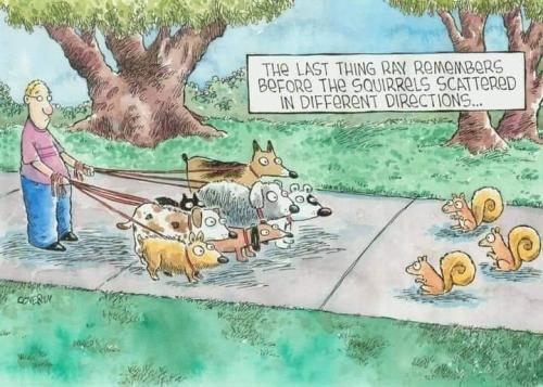 FB_IMG_1636121478046