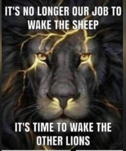 WAKE THEM