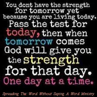 542591_385936268155177_1357972318_n