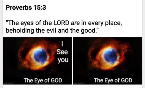 Screenshot_20211113-143238_MeWe