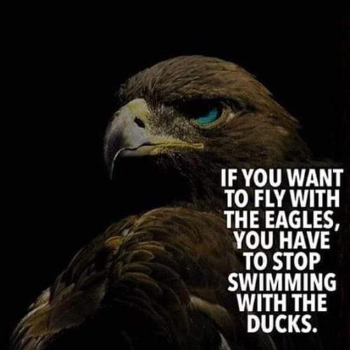 IMG_20210313_053427_222