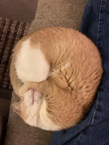 BEE517B7-D37C-46E0-960C-C53027A42649