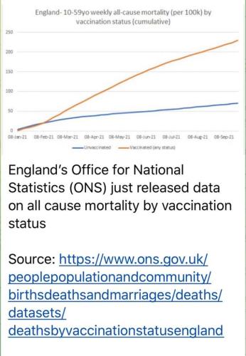 a0eed903c39ad7b44dfca27202bf9fda_1024OR