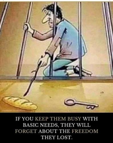 254615022_10221092469040805_8390606510989672857_n