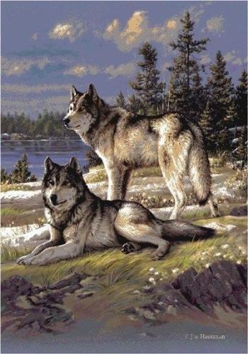 06:37:29 GMT-0500 (CDT)