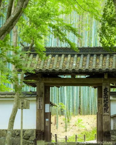 248072180_439996720800909_1603899112824617349_n