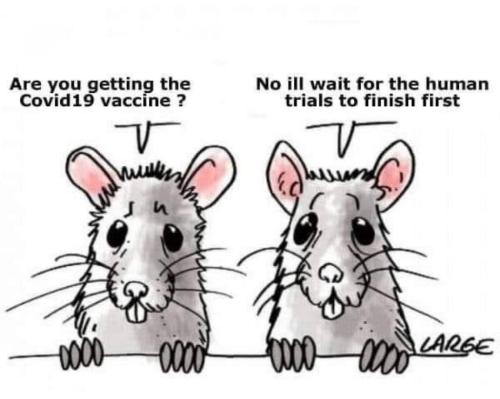 image_1638041483.432