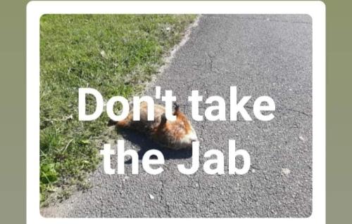 Screenshot_20211107-194650_Facebook