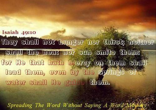 14293_393720474043423_1116011956_n