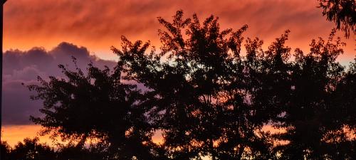 16:35:08 GMT-0500 (EST)