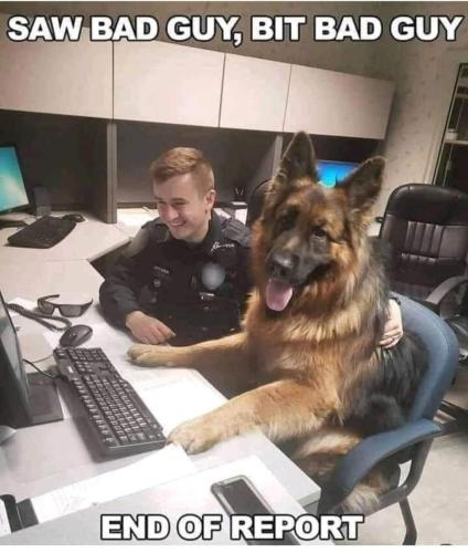 FB_IMG_1637031756995