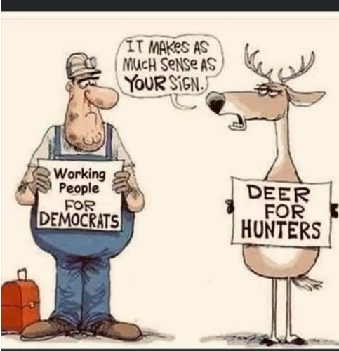 Screenshot_20211103-235803_DuckDuckGo