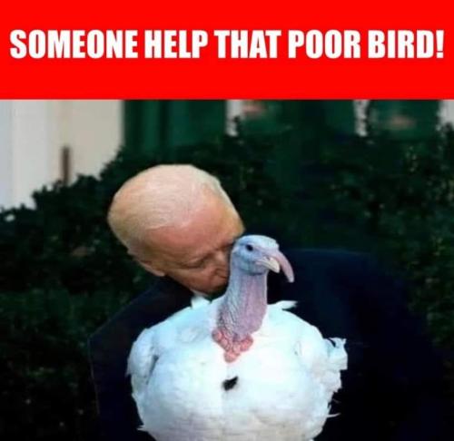 12:19:31 GMT-0500 (EST)