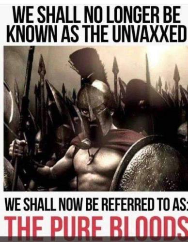 Proud to be pure blood